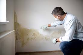 Reliable Nahunta, GA Mold Removal Solutions